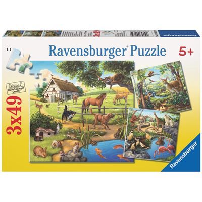 Spiel 6036.0